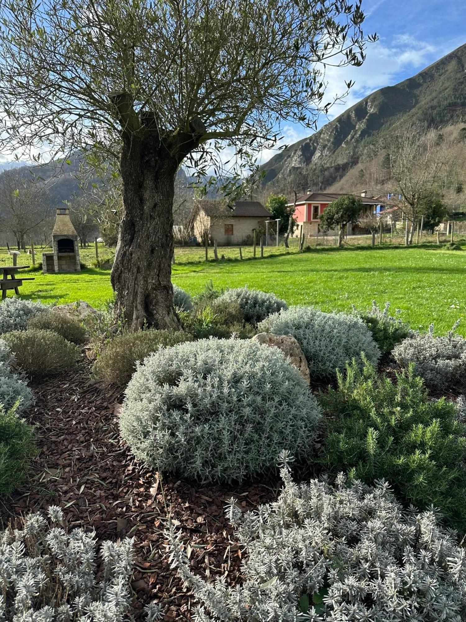 Casa Rural Nasares San Juan de Parres Exteriör bild